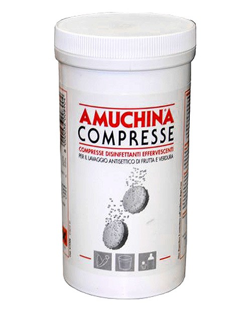 amuchina compresse disinfettanti effervescenti 250x2g - RAM