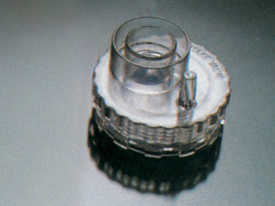 34256_2.jpg