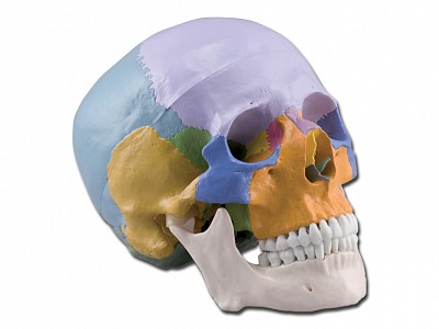 40162.jpg