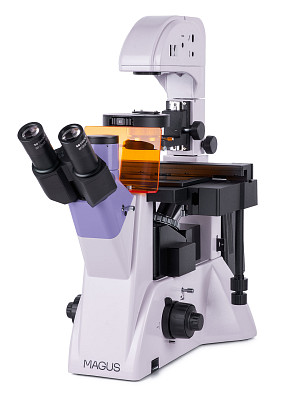 82908_magus-lum-v500-microscope_00.jpg
