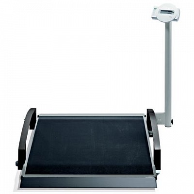 SECA-BILANCIA-DIGITALE-A-PIATTAFORME-PESACARROZZINE-SECA-665_BI665.jpg