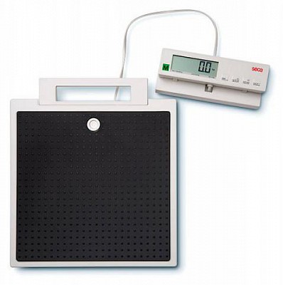 SECA-BILANCIA-DIGITALE-DA-TERRA-SECA-899-CON-DISPLAY-REMOTO-CON-CAVO_BI899.jpg