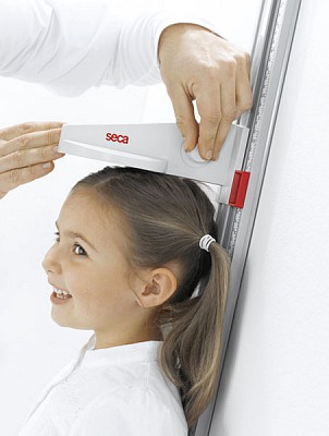 a_seca_216_locking_screw_RGB600h.jpg