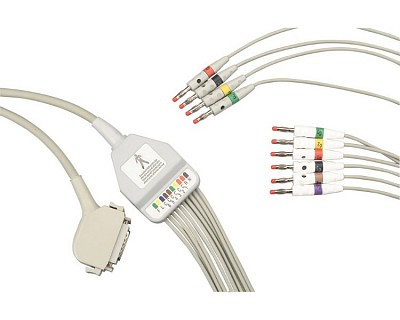 drv2083_cavoecg.jpg