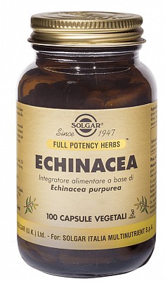 echinacea1.jpg