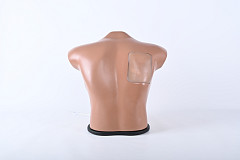 Simulatore ecografabile per addestramento alla toracentesi mediana sotto guida ecografica