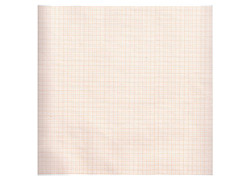 Carta termica ecg 210x30 mmxm - rotolo griglia arancio - conf. 5 rotoli