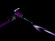 31593_c.jpg