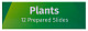 72869_levenhuk-prepared-slides-set-labzz-p12_08.jpg