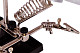 74076_levenhuk-magnifier-zeno-refit-zf19_05.jpg