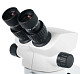 76056_levenhuk-microscope-zoom-1b_05.jpg