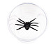 79650_discovery-basics-cn5-bug-jar_3.jpg