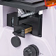 82908_magus-lum-v500-microscope_14.jpg