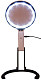 LVH-zeno-desk-d13-09_1.jpg