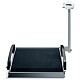 SECA-BILANCIA-DIGITALE-A-PIATTAFORME-PESACARROZZINE-SECA-665_BI665.jpg
